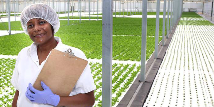 A woman wearing rubber gloves and a sanitary cap stands holding a clipboard inside a large greenhouse, with a number of plants just starting to sprout.